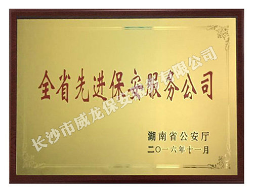 全省先進(jìn)保安服務(wù)公司
