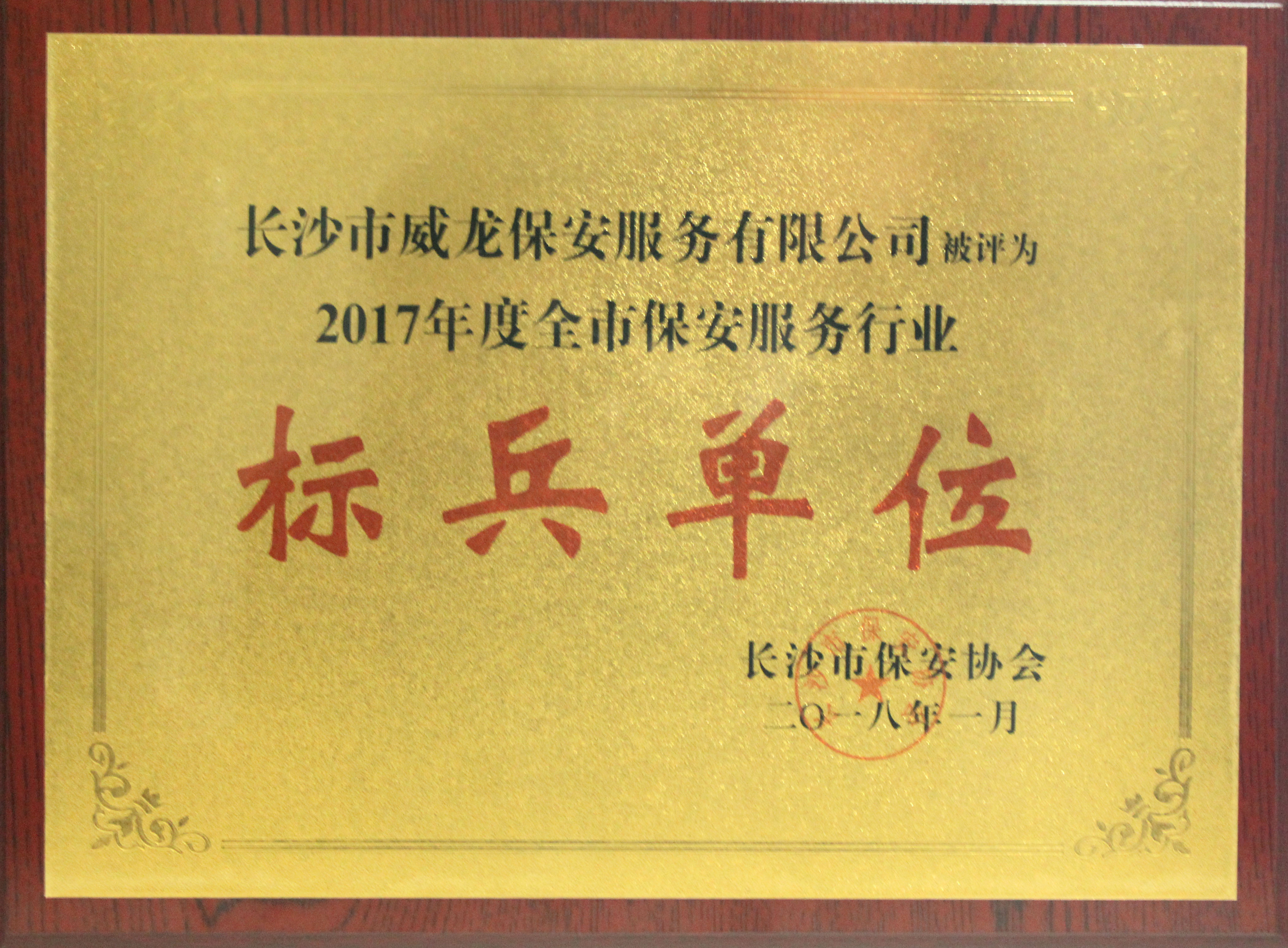 長沙市威龍保安服務有限公司,威龍保安服務,長沙保安公司,湖南保安服務,銀行保安,安保公司,明星安保