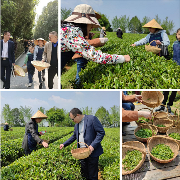 長沙市威龍保安服務有限公司,威龍保安服務,長沙保安公司,湖南保安服務,銀行保安,安保公司,明星安保