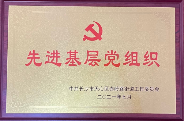 長沙市威龍保安服務有限公司,威龍保安服務,長沙保安公司,湖南保安服務,銀行保安,安保公司,明星安保